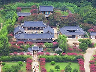 주간베스트포토 8월1주