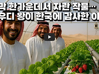 사막 한가운데서 자란 작물..