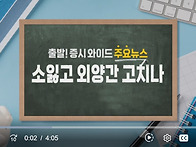 한국인 300명 구금하더니…..