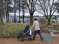 벚꽃🌸 은 피고..