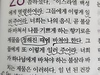 정해진 때
