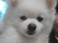 가을 이야기