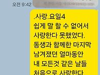 사랑