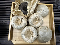 무지청타차(100g) 6개