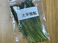 특급 태평후괴