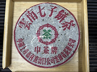 99년 중차철숙병