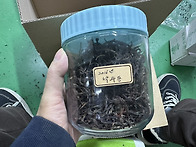 자투리차 폭탄세일(샘플차..