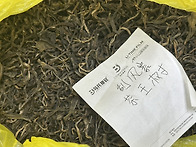 괄풍채 고수차(500g)