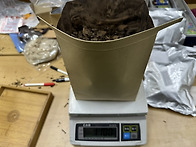 2015년 고수노차두