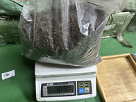 완벽한 숙차(2022년 포랑..