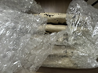 04년 여아차대병(1500g..