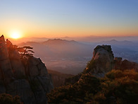 도봉산의 봄 202..