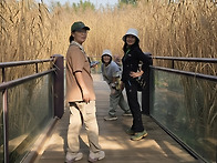 이미지를 바꿔서
