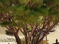 청량산등반2