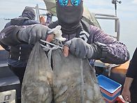 9월14일 군산 강남호 쭈꾸..