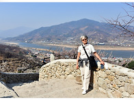 구례 산수유, 광양..