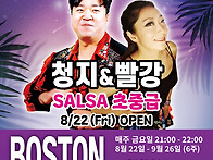 [보스톤&살사베이시스] 살..