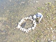 6/27. 정산리