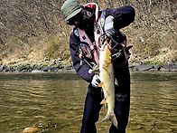 봄이 안오면 어쩌..