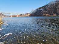 우연히 함께한 납..