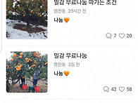 제주도식 무료나눔 ㄷㄷ