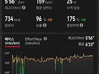 새벽러닝완료