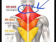 등운동하면 여기에 힘이 ..