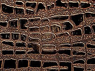 오늘 본 블랙 무스탕 찾고..