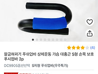 푸시업바 이런거 사도 되겠..