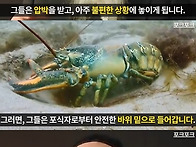 스트레스에 대한 발상의 ..