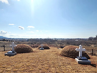 새로 조성된 바우배기