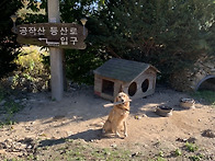 홍천 공작산