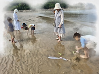 여름 바닷가에 다..