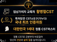 정통CST(두개천골요법/두..