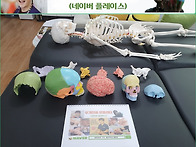 의학기반 황병철CST 정통C..