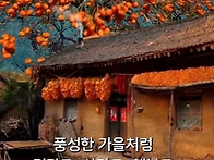무궁화 화분