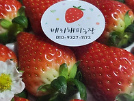&#127827;5월..