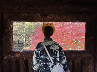 &#129392;우리 가족들..