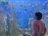 2025년에 1989년을 회상