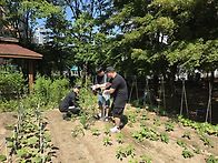 텃밭 부모회 - 지지대 세..