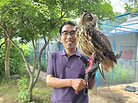 홍종의 창작동화 '다 살린..