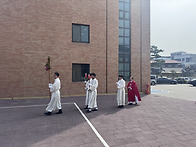 주님 성지주일 사진