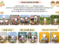 25년 6월 행사 - 감자 캐..