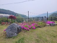 ●용인 처인구 MOON CAFE 걷기