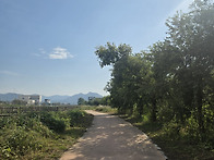 산책길...