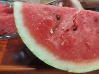 벌써 김장 무우를