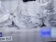 시골 살이는요