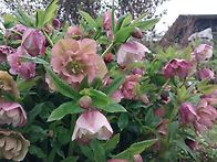 예뻐서 다시 한번