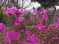 우리집에서 가장 ..