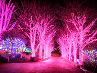 12월 11일 목요일 사진방 ..